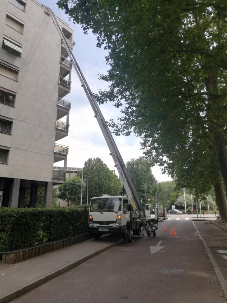 Grue 2
